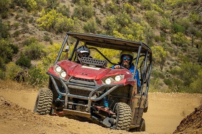 Ancient Ruins Tour - Guided Arizona Desert Tour by UTV - Desert plants, wildlife, and geology along the way