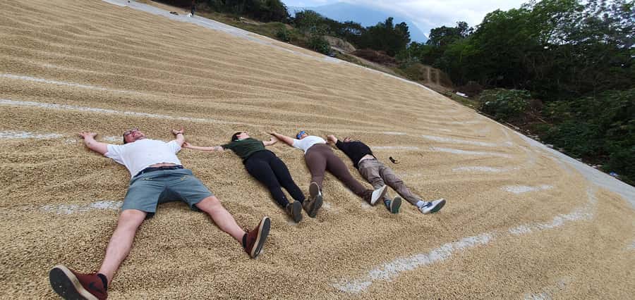 Antigua ATV Coffee tour - Who should choose this Antigua coffee tour?
