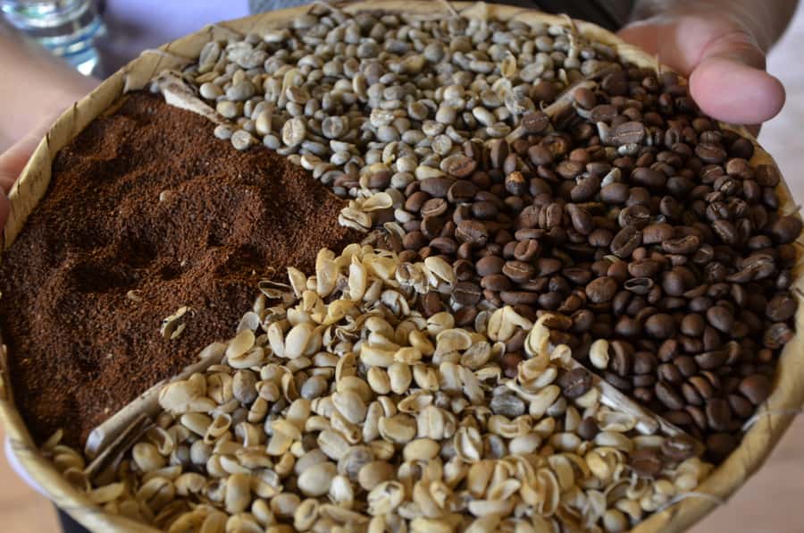 Antigua ATV Coffee tour - Practical details before you book