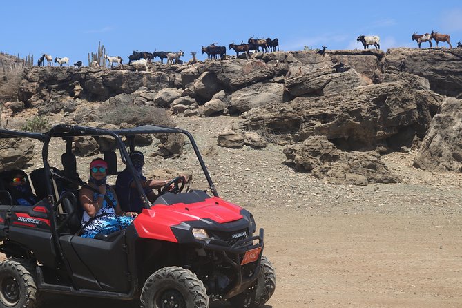 Aruba UTV, ATV Adventure to Secret Beach and Cave Pool - The lighthouse and Arashi Beach finish the island circuit