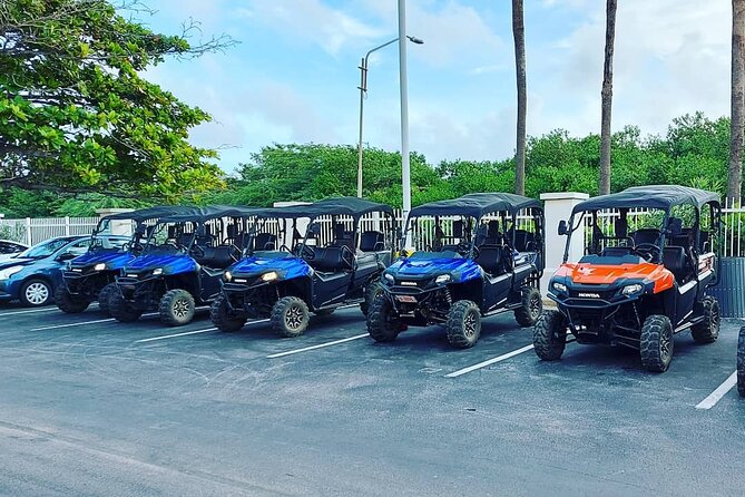 Aruba UTV Rental: 4-Seater for Adventure Exploration - The real value of choosing your own itinerary