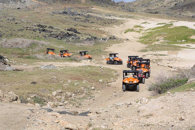 Aruba UTV Tour with Natural Cave Pool and Cliff Jumping - Philip’s Animal Garden starts the adventure