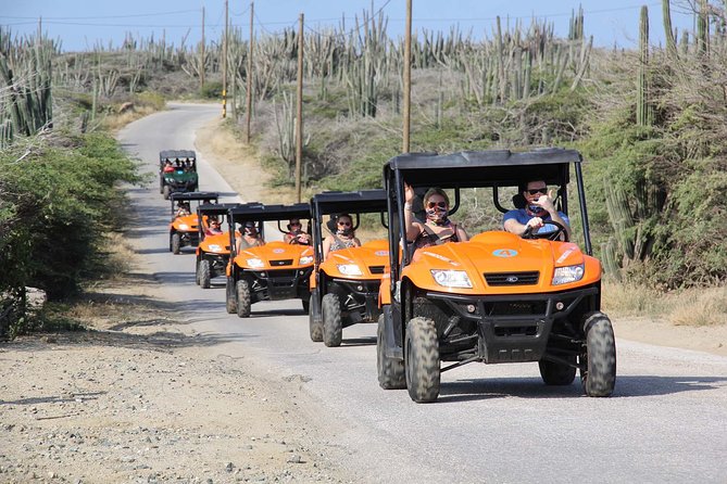 Aruba UTV Tour with Natural Cave Pool and Cliff Jumping - Andicuri Beach and Shark Bay bring the water back