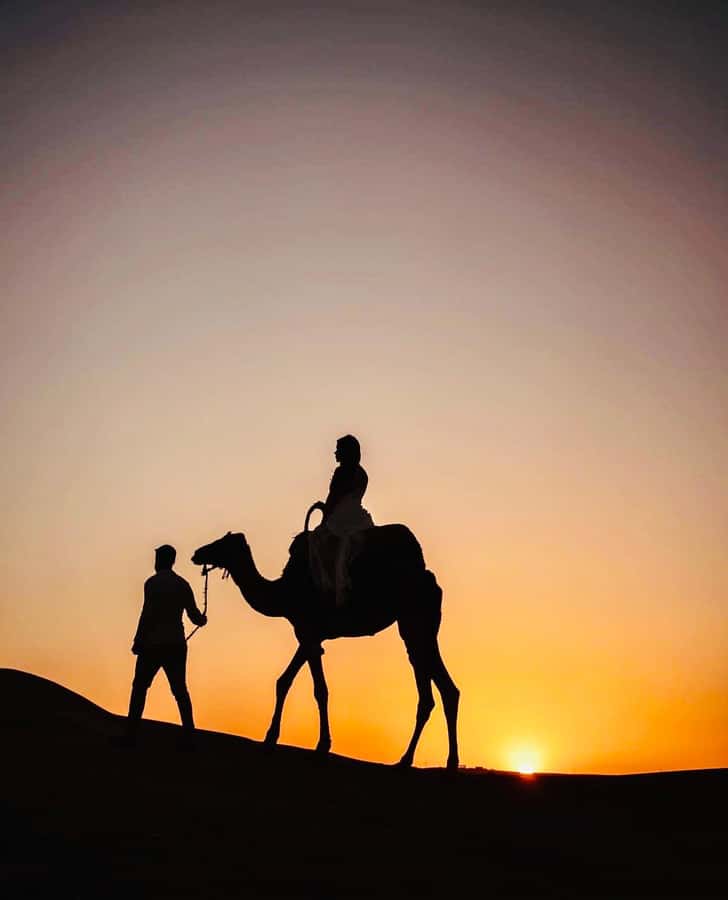 Atlas Mountain & Agafay:Quad Biking and Camel Ride Adventure - Guides and the human side of the day