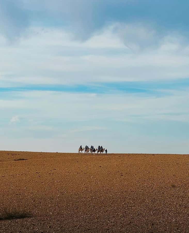 Atlas Mountain & Agafay:Quad Biking and Camel Ride Adventure - One hour on a quad bike