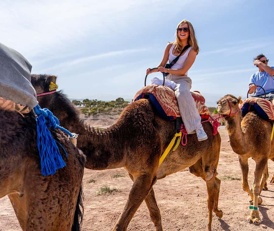 Atlas Mountain & Agafay:Quad Biking and Camel Ride Adventure - Pickup from Marrakech and the road south