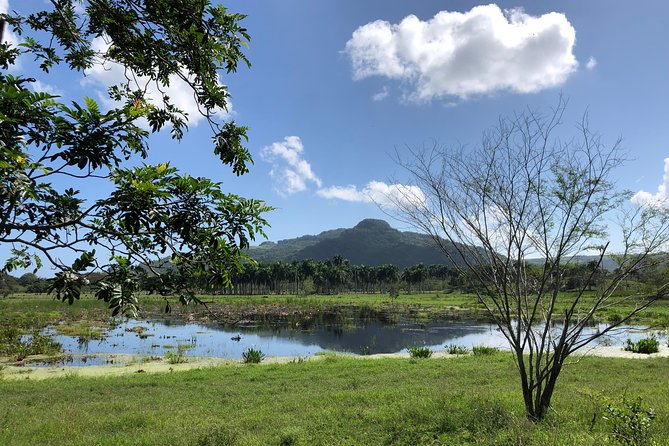 ATV Adventure - A pool, zip line, and tropical garden after the ride