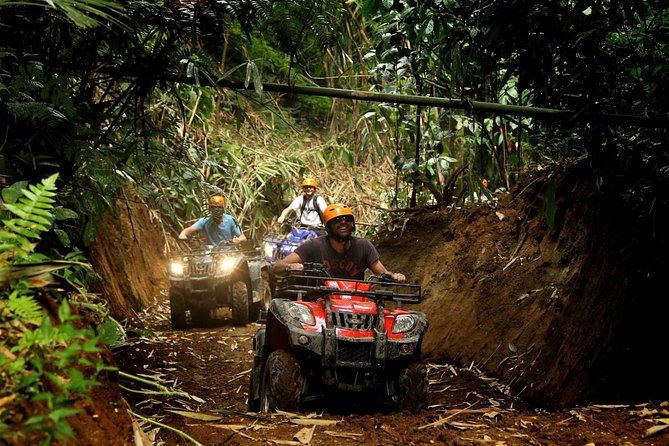 ATV Combo Horseback Riding, ATV, Ziplines, Cenote and Lunch - A calm horseback ride for beginners