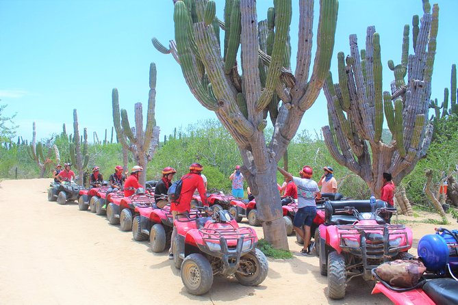 ATV Desert & Beach ride over the mountains and through Migrino beach! - Key points before you book