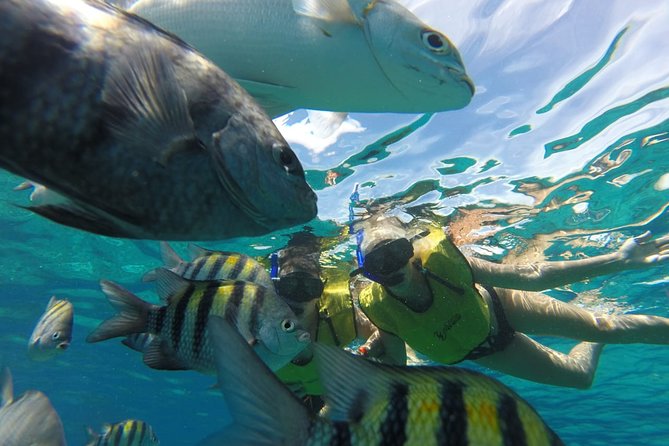 ATV Mud Kicking and Snorkeling by Boat in Cozumel - Is the $99.99 price fair?