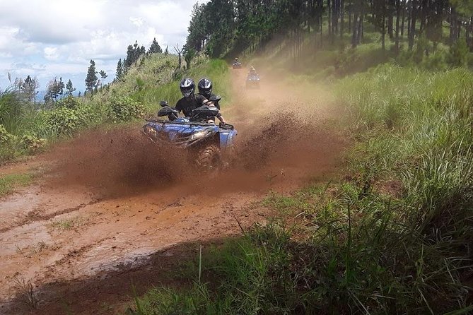 ATV Quad Bike Adventure Tour (Departs Nadi) - Who will enjoy this ride most