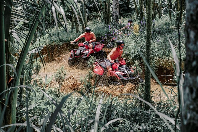 ATV Quad Bike Bali with Waterfall Gorilla Cave and Lunch - Who will enjoy this ATV trip most?