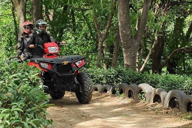 ATV QUAD BIke Riding 3 Kms Sportsman 570 - Riding an ATV through Palampur tea country