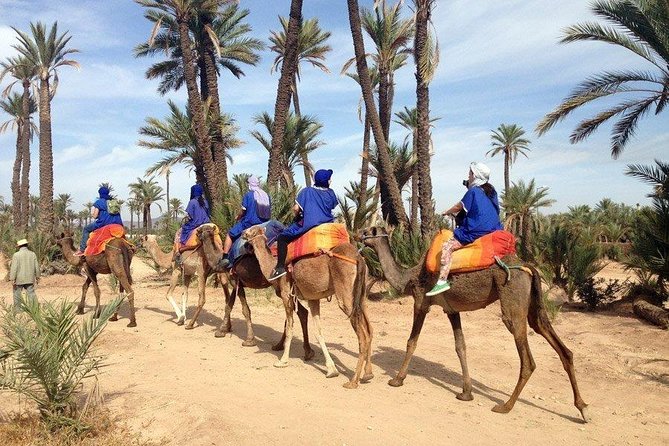 ATV Quad biking in Marrakech desert palmgrove - Mint tea with local Berber hosts