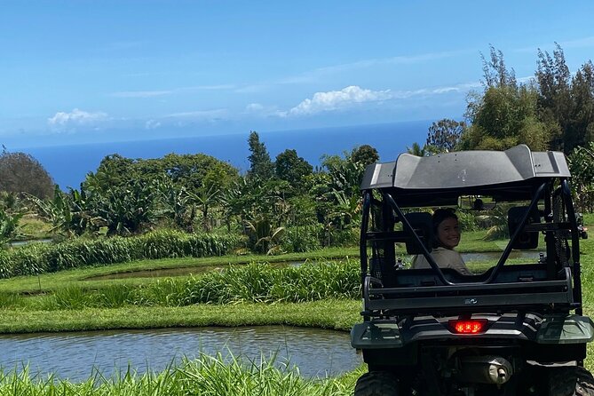 ATV Ranch ride Big Island Hawaii - From Honokaa into Hamakua country