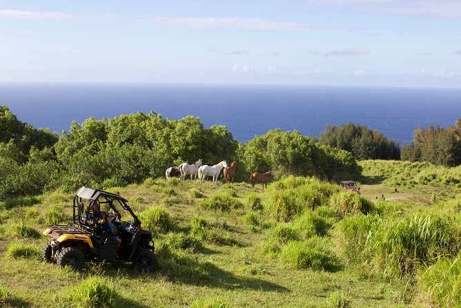 ATV Ranch ride Big Island Hawaii - Riding uphill to the ranch grasslands