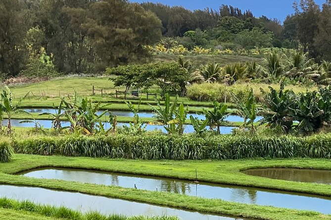 ATV Ranch ride Big Island Hawaii - The guides shape the experience