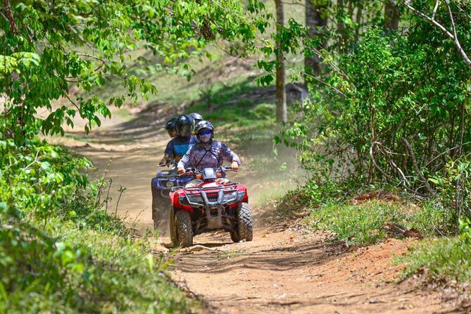 ATV River, Beach, Jungle Adventure and Crocodiles Hotspot from San Jose - The drive from San Jose changes the day