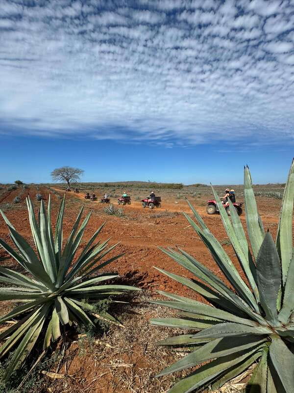 ATV & TEMAZCAL COMBO TOUR - Is $198 a fair price?