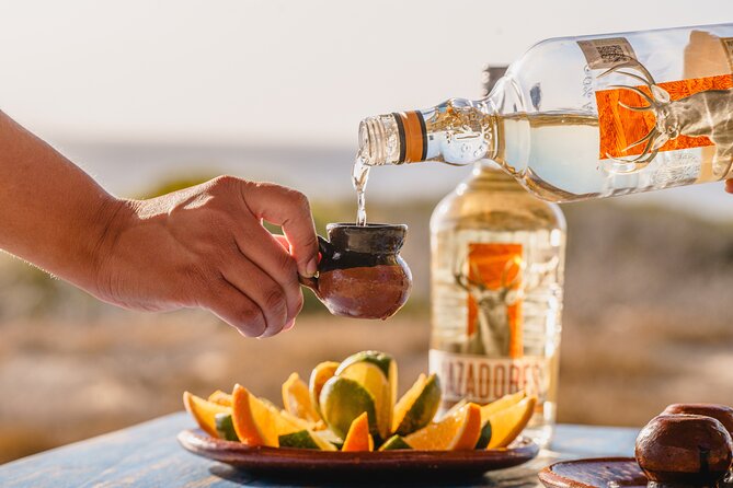 ATV Tour, Camel Ride, Tequila Tasting and Mexican Buffet Lunch - Key points to know before you book