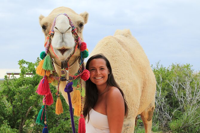 ATV Tour, Camel Ride, Tequila Tasting and Mexican Buffet Lunch - A five-hour Baja outing with two distinct moods