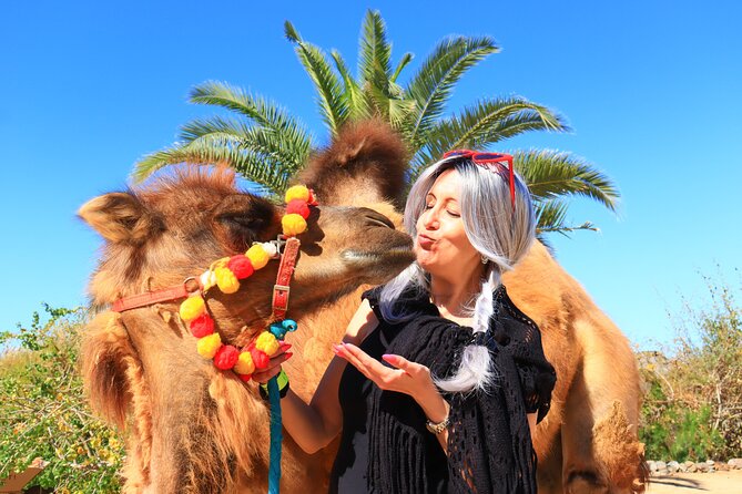 ATV Tour, Camel Ride, Tequila Tasting and Mexican Buffet Lunch - Tequila, mezcal, and lunch beside the Sea of Cortez