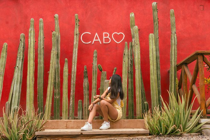 ATV Tour, Camel Ride, Tequila Tasting and Mexican Buffet Lunch - How the price compares with the experience
