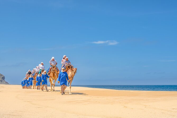 ATV Tour, Camel Ride, Tequila Tasting and Mexican Buffet Lunch - Who will enjoy this combination tour most