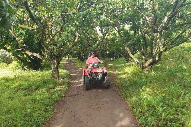 ATV Tour of St Kitts - Wingfield Estate and the sugar trade