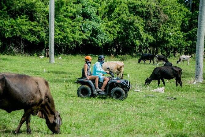 ATVs Fun Tour from Amber Cove and Taino Bay Puerto Plata - Water crossings and the mountain river