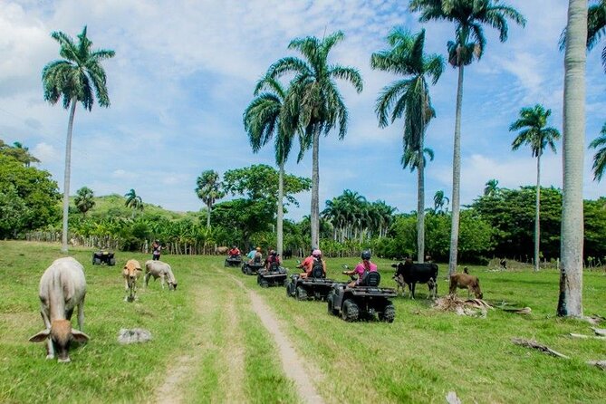 ATVs Fun Tour from Amber Cove and Taino Bay Puerto Plata - Safety, comfort, and what to wear