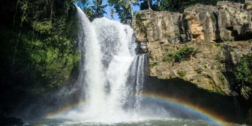Bali: ATV Gorilla Cave, Ubud Monkey Forest, & Waterfall Tour - What the $53 price really covers