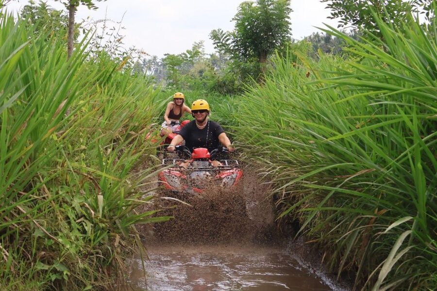 Bali: ATV Gorilla Cave, Ubud Monkey Forest, & Waterfall Tour - Who will enjoy this Bali tour?