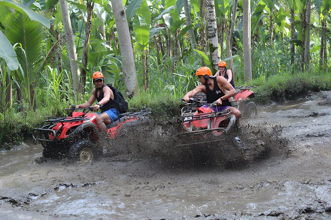 Bali ATV Ride, Best Quad Bike Adventures - The two-hour route through fields, jungle, and water