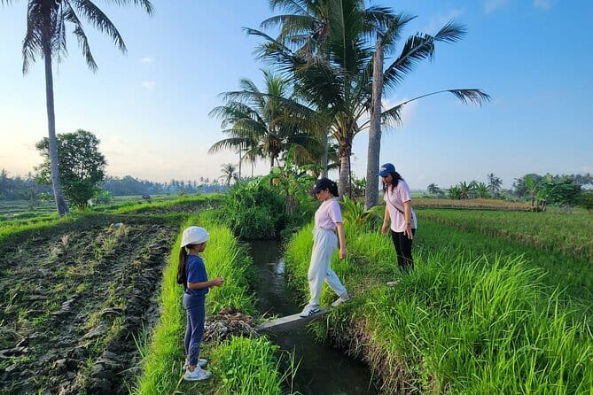 Bali ATV Ride On the Beach, Rice Field and Village Tour 2 Hour - What the strongest praise gets right