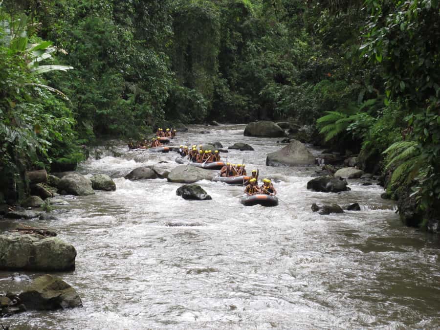 Bali: ATV, Water Rafting, and Monkey Forest Tour - The driver can shape the whole day