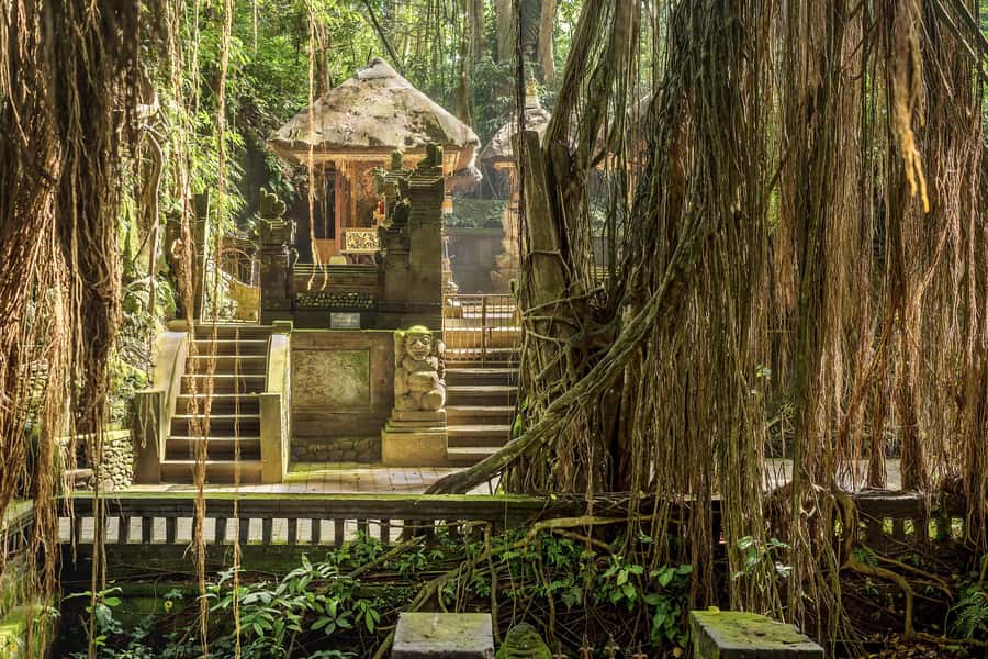 Bali: ATV, Water Rafting, and Monkey Forest Tour - Who will enjoy this tour most
