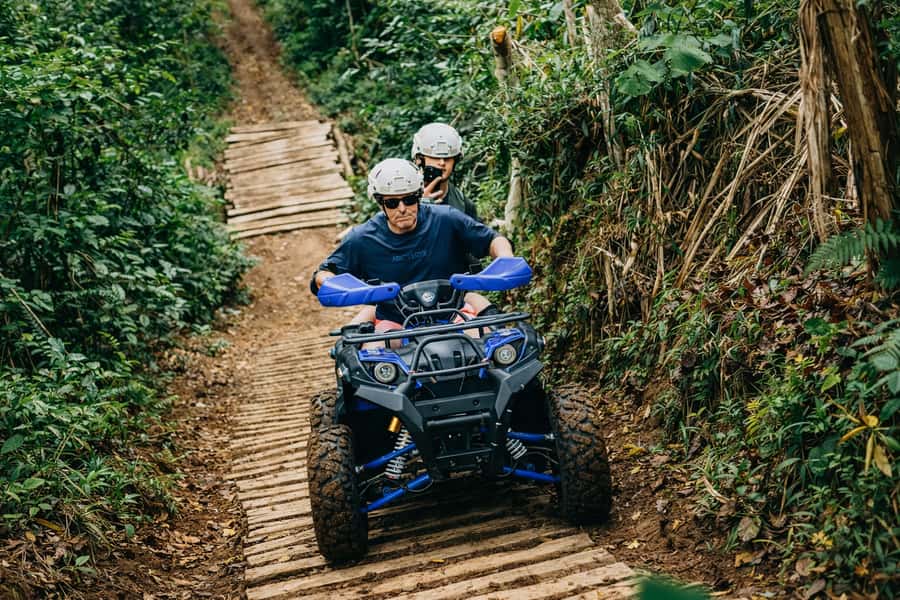 Bali: Dolphin Swimming Tour with ATV Quad Bike & Waterfall - Why this North Bali combination works