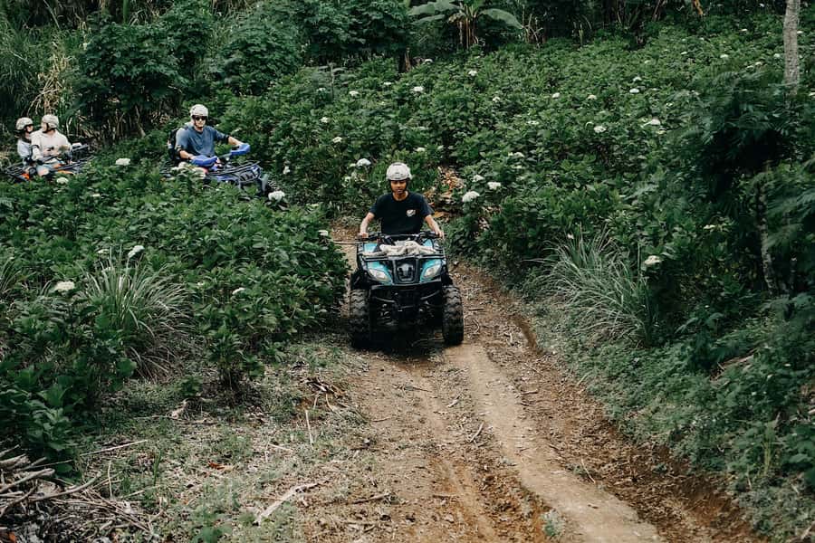Bali: Dolphin Swimming Tour with ATV Quad Bike & Waterfall - ATV tracks through coffee country