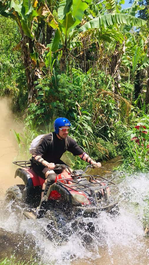 Bali: Dolphin Swimming Tour with ATV Quad Bike & Waterfall - The natural pool and hydrangea stop