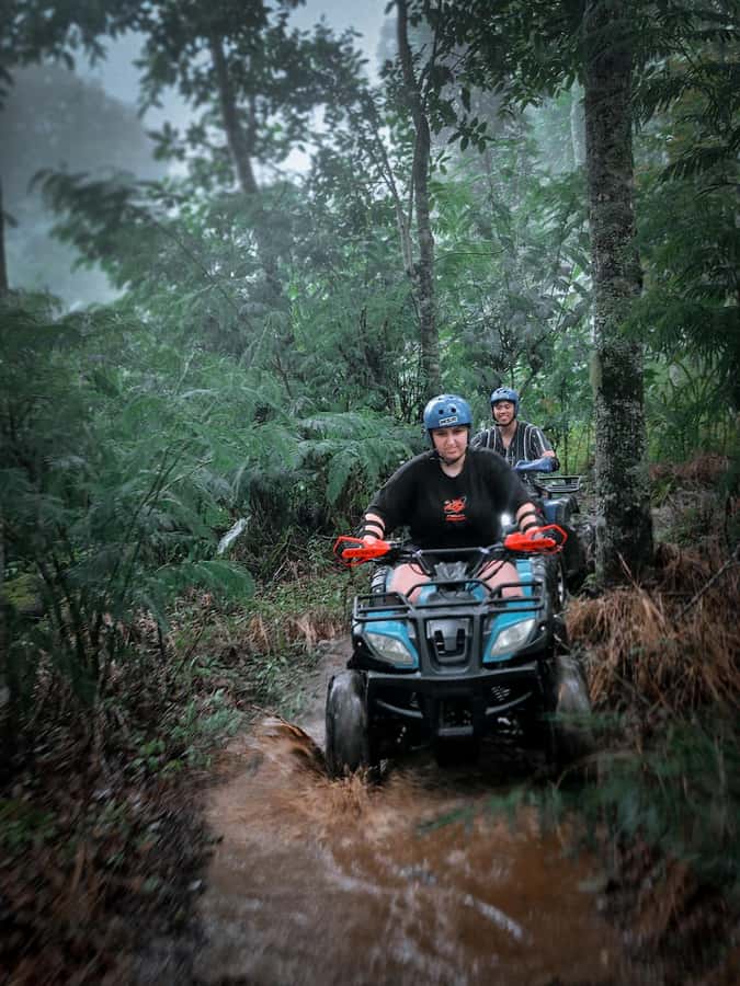 Bali: Dolphin Swimming Tour with ATV Quad Bike & Waterfall - Food, coffee, and what is not included