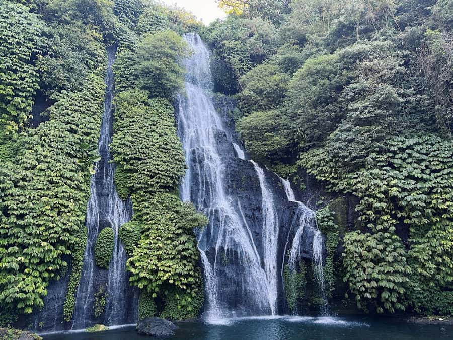 Bali: Dolphin Swimming Tour with ATV Quad Bike & Waterfall - The guide can shape the whole day