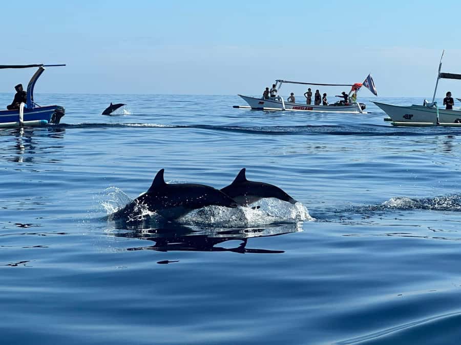 Bali: Dolphin Swimming Tour with ATV Quad Bike & Waterfall - The early run to Lovina Beach