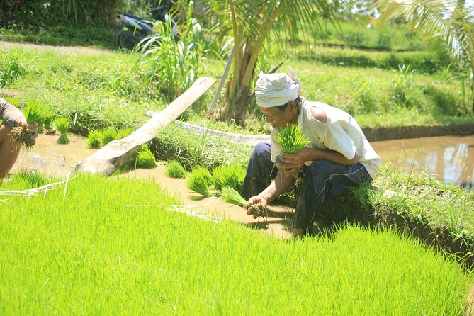 Bali Quad and Buggy Discovery Tour, Including Round-Trip Transfer - Lunch, lockers, and a useful cleanup
