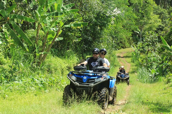 Bali Quad and Buggy Discovery Tour, Including Round-Trip Transfer - Two hours through villages, jungle, and rice fields
