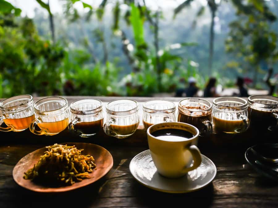 Bali: Ubud Adventure, ATV, Monkey Forest& Waterfall Tour - The real cost of the $73 price