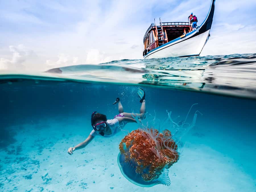 Bali: Ubud ATV and Blue Lagoon Snorkeling Tour with Lunch - A sea-and-country day, not a quick half-day outing