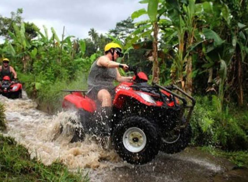 Bali: Ubud ATV and Blue Lagoon Snorkeling Tour with Lunch - Should you book this Bali adventure?