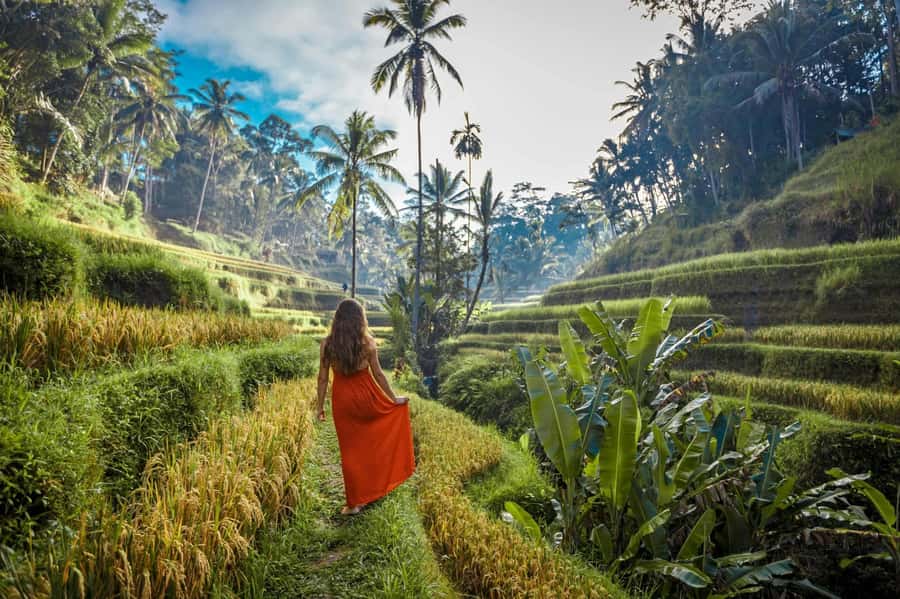 Bali: Ubud ATV Quad Bike, Jungle Swing & Rice Terrace Tour - Should you book it?