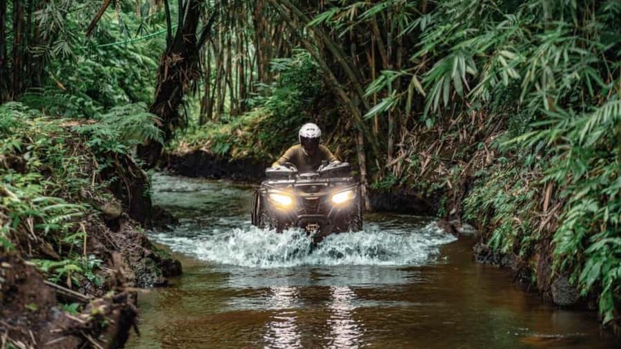 Bali: Waterfall Gorilla Cave ATV & Ubud Rafting Trip & Lunch - Who should book this Ubud adventure